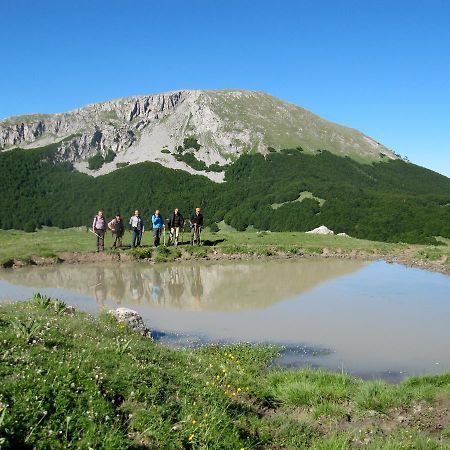 B&B Sole Del Pollino Rotonda Exteriör bild