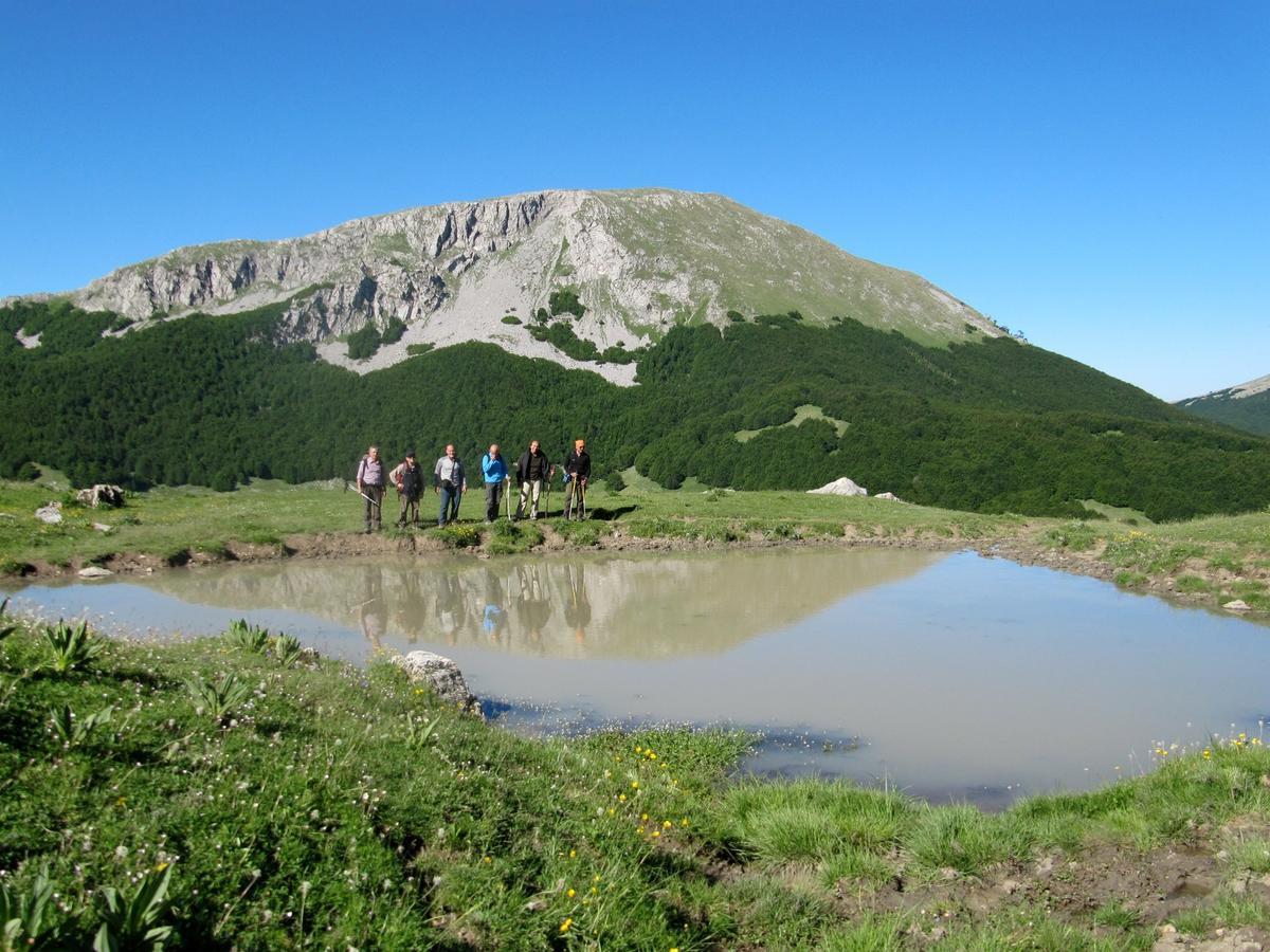 B&B Sole Del Pollino Rotonda Exteriör bild