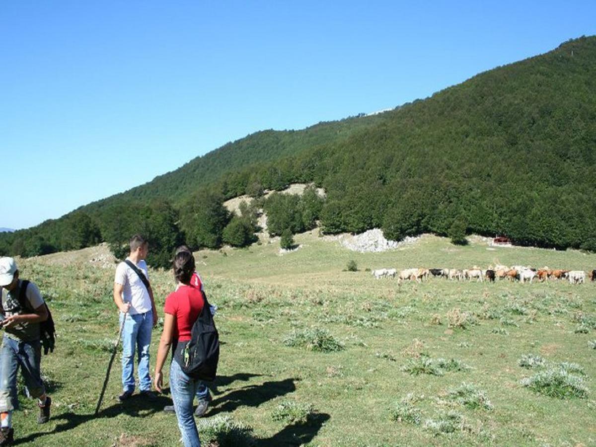 B&B Sole Del Pollino Rotonda Exteriör bild