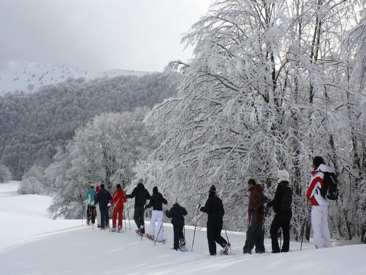 B&B Sole Del Pollino Rotonda Exteriör bild